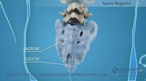 Эндоскопическое удаление грыжи диска