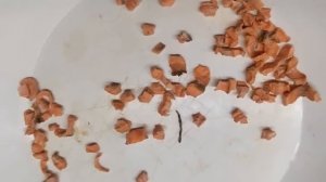 САМАЯ СКРЫТАЯ НАСАДКА НА КАРАСЯ И КАРПА Карась карп теперь не проблема Насадка для карася на кара