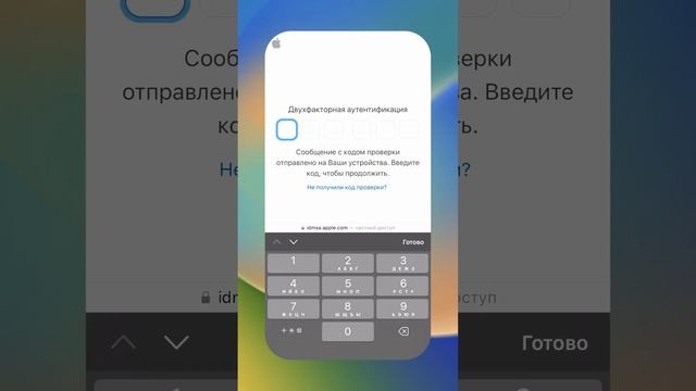 Как бесплатно установить iOS 17 beta #iphone #apple #ios #ios17 #бесплатно