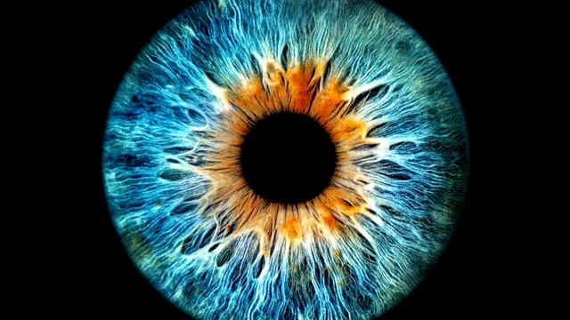 Глаз человека / фон / структура глазной радужки смотреть онлайн