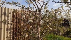 Переезд под Краснодар.Бесплатное приложение при покупке дома..mp4