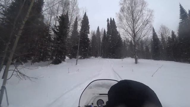 Варяг 550, варяг500, Патруль551, BRP, Ищем избушку 2-й год. смотреть онлайн