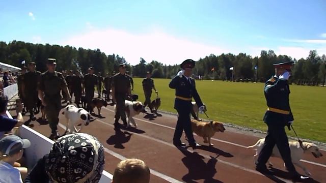 в/ч 32516.день части. смотреть онлайн