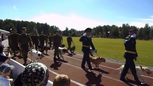 в/ч 32516.день части.