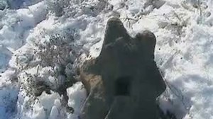 Каменная шестерня..wmv