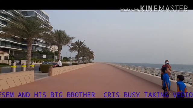 THE PLACE THAT I NEVER FORGET ANANTARA PALM HOTEL RESEDENT PLS WATCH THE VEDIO UNTILL THE смотреть онлайн