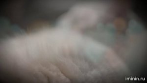 Елена Благинина - "Бабушка Забота"