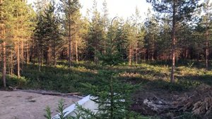 Купить участок в Ленинградкой области. 10 соток рядом с озером