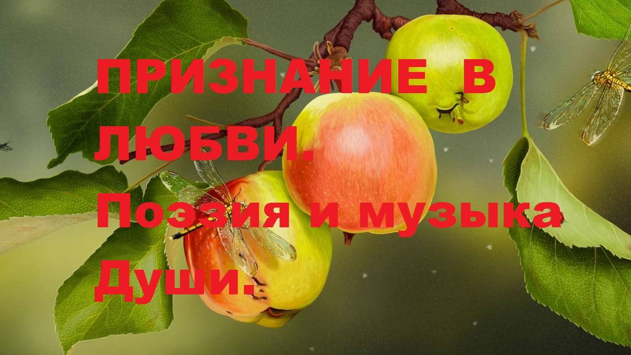 ПРИЗНАНИЕ  В  ЛЮБВИ. Автор стихотворения и видео. А. Соколов. Красивая музыка для Души.