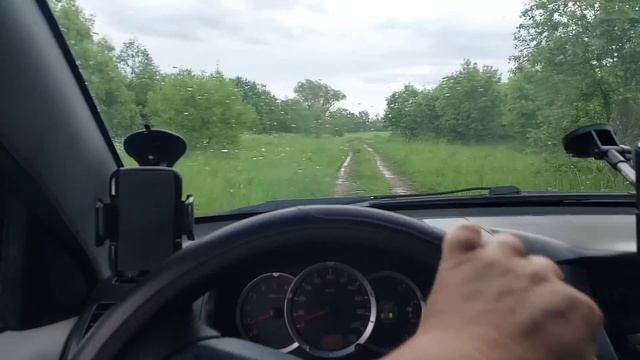 Только Белкунья