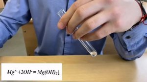 Качественные реакции на катион магния