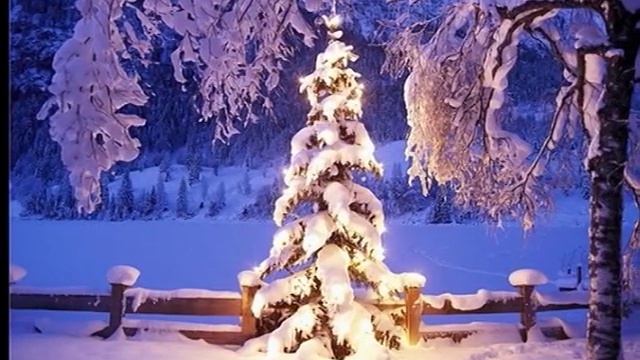 Элона и Владимир Коржевич - Тихая ночь(Silent Night)