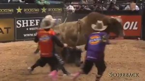 Родео - бешеные быки уничтожают ковбоев!