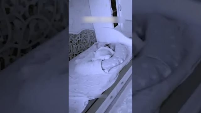 Побежала на крик