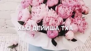 Дала декъала йойла де йиша