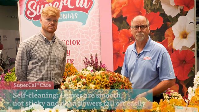 SuperCal® Overview with the Experts!