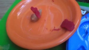 обзор пластилина для лепки красивой еды