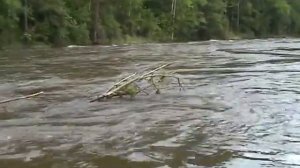 Рыбалка на тайменя, ленка, хариуса. Высокая вода. Команда SMITH RUSSIA на Дальнем Востоке. Часть 1