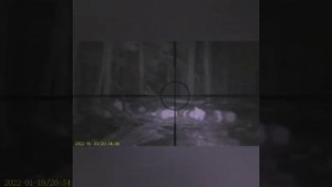 Megaori 3 цифравая насадка на оптический прицел с али экспрес