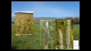 April 2018 Webinar - Peatlands, Parks, and Playas: a Tour of Colorado’s Diverse Wetlands