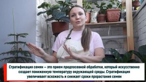 ВЫРАЩИВАЕМ ЗЕМЛЯНИКУ НА ПОДОКОННИКЕ С КСЕНИЕЙ ЗАНИНОЙ!