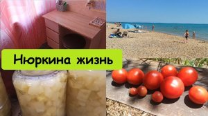 Купили письменный стол // Необычный рецепт кабачки-ананасы // Огород в начале июля