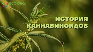 История каннабиноидов