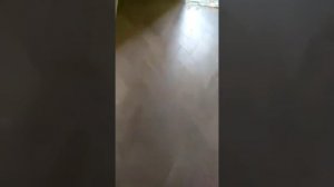 Паркет венгерская ёлочка - пример укладки