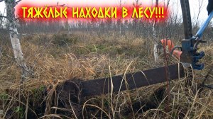 БРИГАДА ЛЕСНОГО ПОИСКА ВЫШЛА НА ЖЕЛЕЗНУЮ ТРОПУ! НАШЛИ ХОРОШИЙ И ТЯЖЁЛЫЙ МЕТАЛЛОЛОМ!