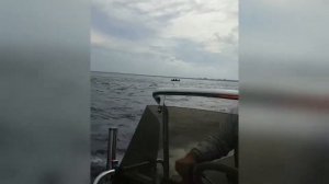 SKYLARK F480 + Suzuki 50лс.