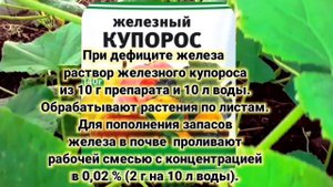 Как по цвету листьев понять, чего не хватает огурцам. Самое простое устранение недостатка м. элем-в