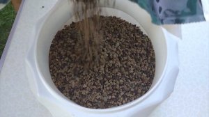 Суккуленты - составление композиции в грунте Lechuza PON