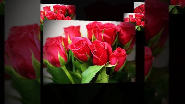 ????? С ДНЕМ РОЖДЕНИЯ всех, кто родился в НОЯБРЕ...???? смотреть онлайн