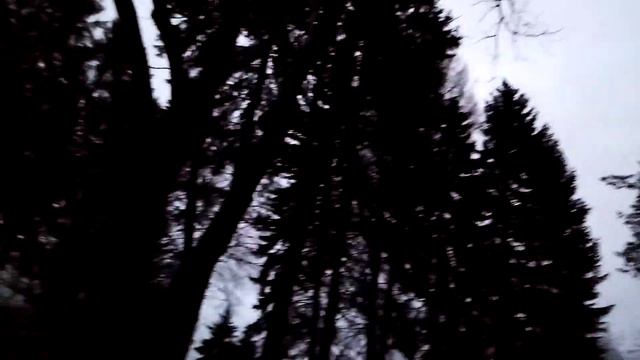Дендрарий на Первомайской