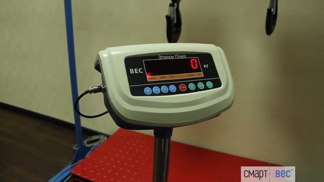 Из чего состоят весы платформенные | СмартВес - весоизмерительное оборудование