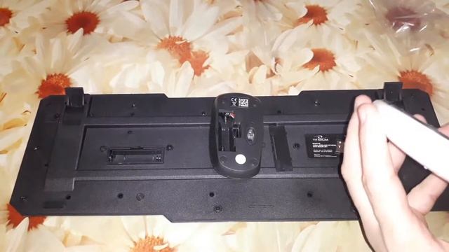 Обзор Клавиатуры - Комплект беспроводной Esperanza Titanum Memphis TK108UA смотреть онлайн