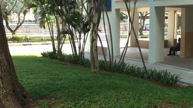 Серия 16. Запреты, разрешения, штрафы. смотреть онлайн