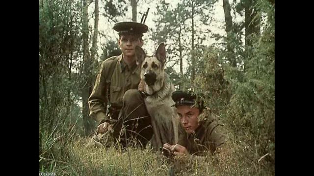 КАТЮША (ВЕРСИЯ ДОМОНЯША). смотреть онлайн