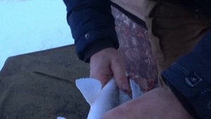 Чаны выезд перед Рождеством