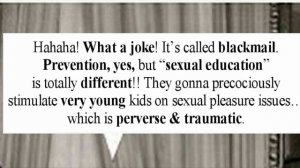 Sexual Education for the dummies
