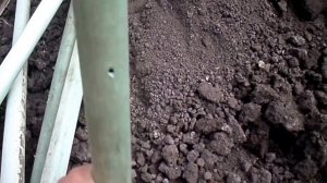 Посадка винограда весной:ч.1 посадочная яма