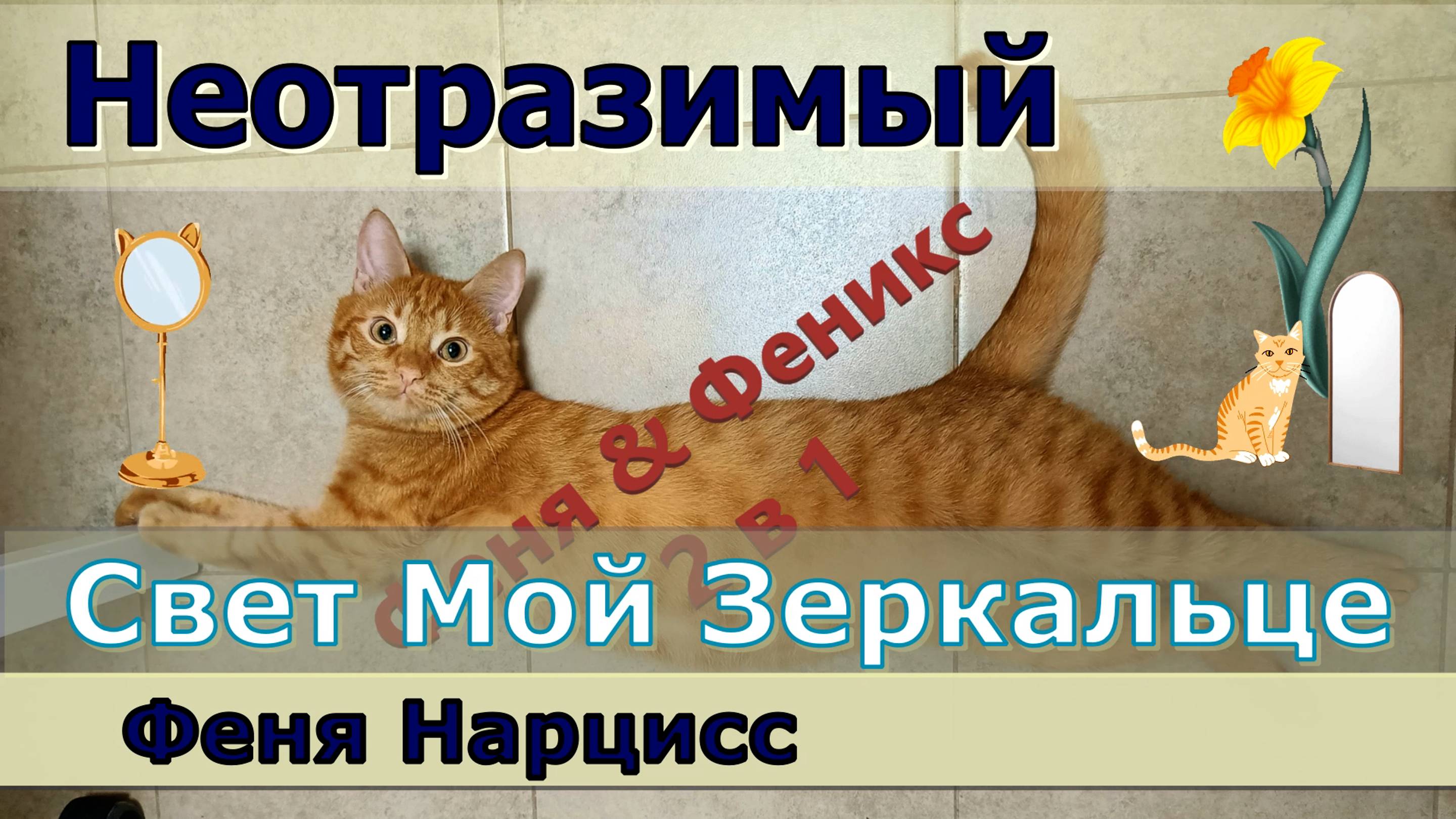 Свет Мой Зеркальце. Неотразимый Феня Нарцисс. Кот Феня, он же Феникс