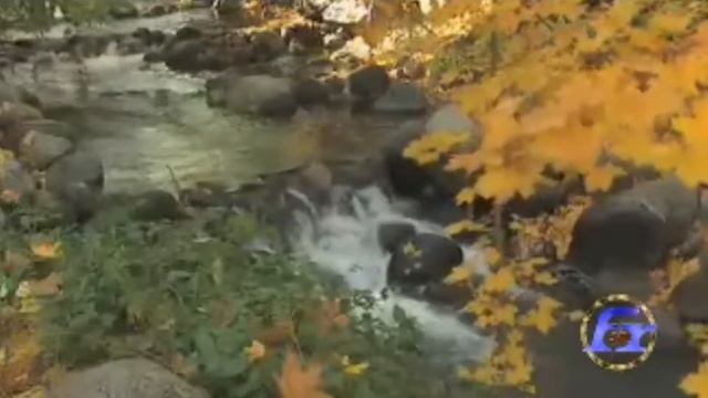 Никто не может служить двум господам May 21,2011 смотреть онлайн