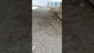 Несуществующий пляж в посёлке Детляжка(Сочи). Трэш.