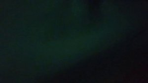 Мой урчащий живот глодный 6 дней.