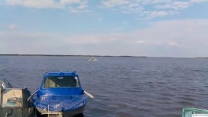 Аэроглиссер своими руками
