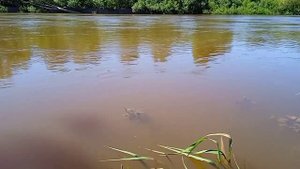 БЕШЕНЫЙ КЛËВ ПЛОТВЫ ЛЕТОМ. ИЮНЬ, 2022 г. Ловля плотвы.