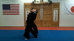 Ninjutsu Shime Waza finishing Ninpo Techniques