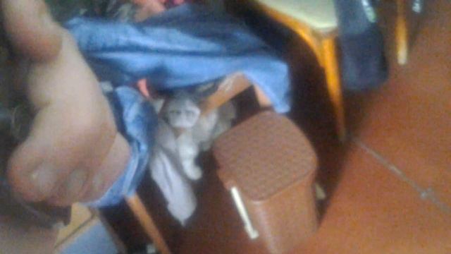 XrEngine.exe смотреть онлайн