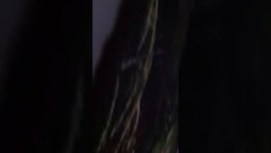 Любительское, домашнее видео.